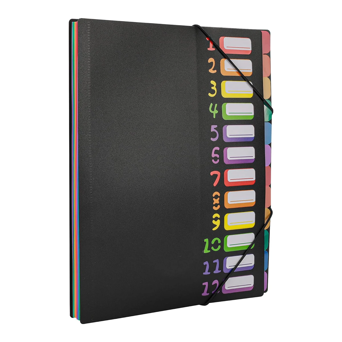 12 Pocket Expanding Project Sorter Heavy Duty Monthly Plastic Expandable Folder Organizer, A4 Letter Size, Multicolor 1