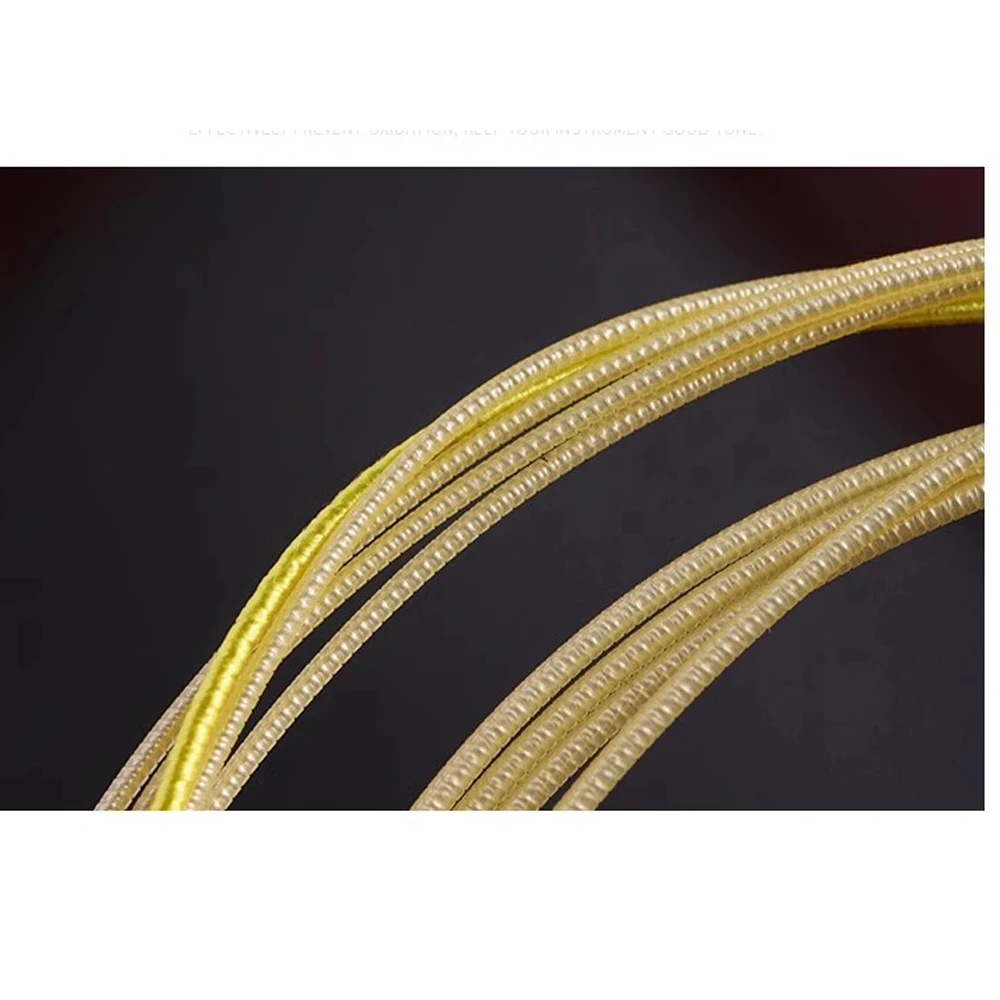 5 Sets Alice AT48 High carbon steel rope core silver plated copper Golden Multi-layer Nano Coating Nylon winding Pipa Strings
