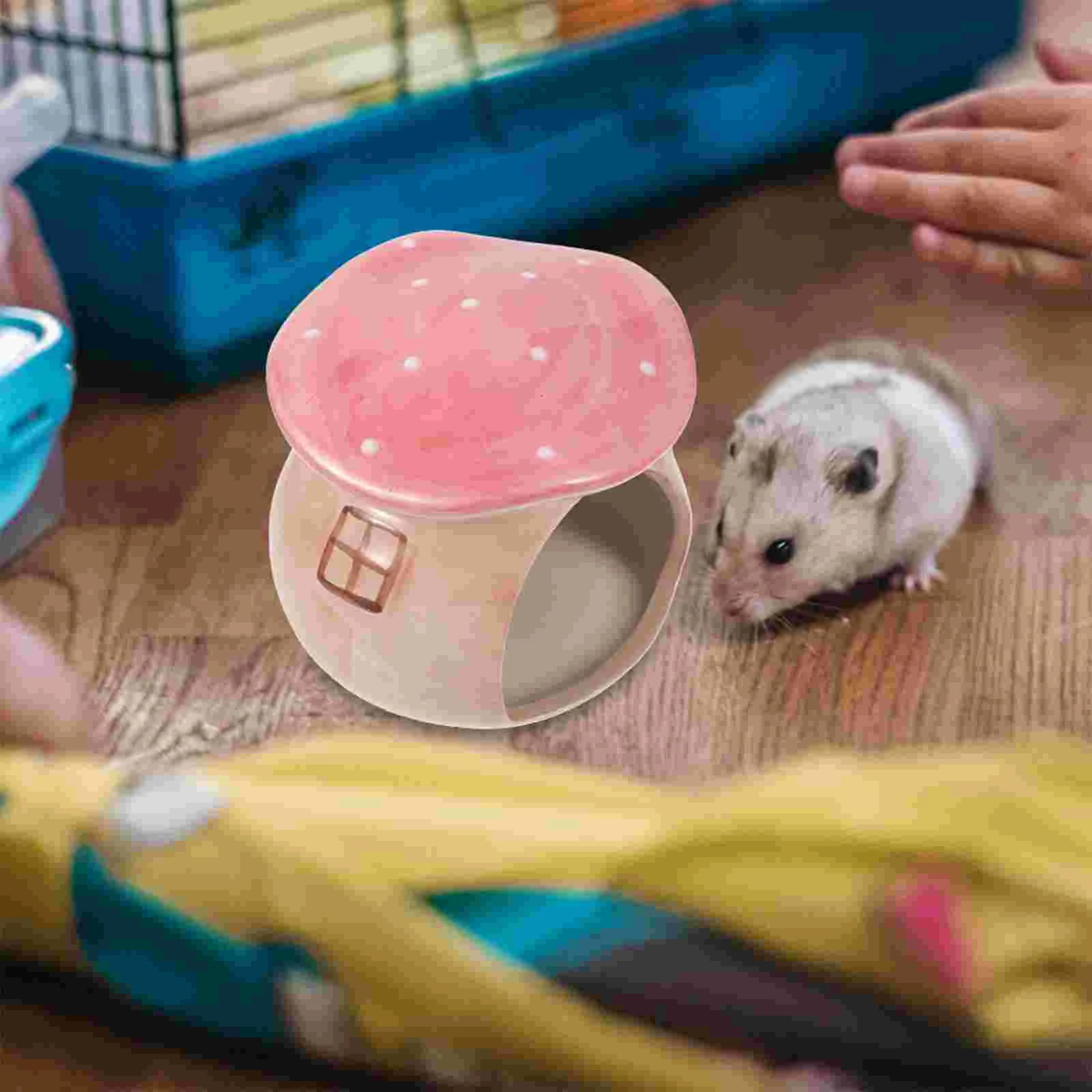 Hamster Ceramic Sleeper Pumpkin Decor Pet Houses Guinea Hamster Hut Ceramics Hamster Hides