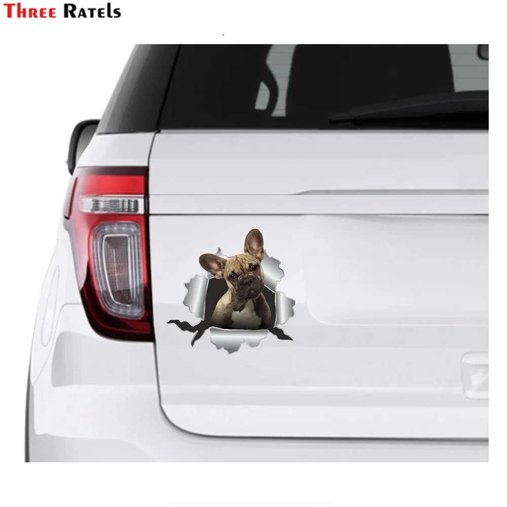 

Три Ratels I679 французский автомобиль бульдог винил Милая Собака любимый подарок наклейка для Audi A3 Chevrolet Cruze