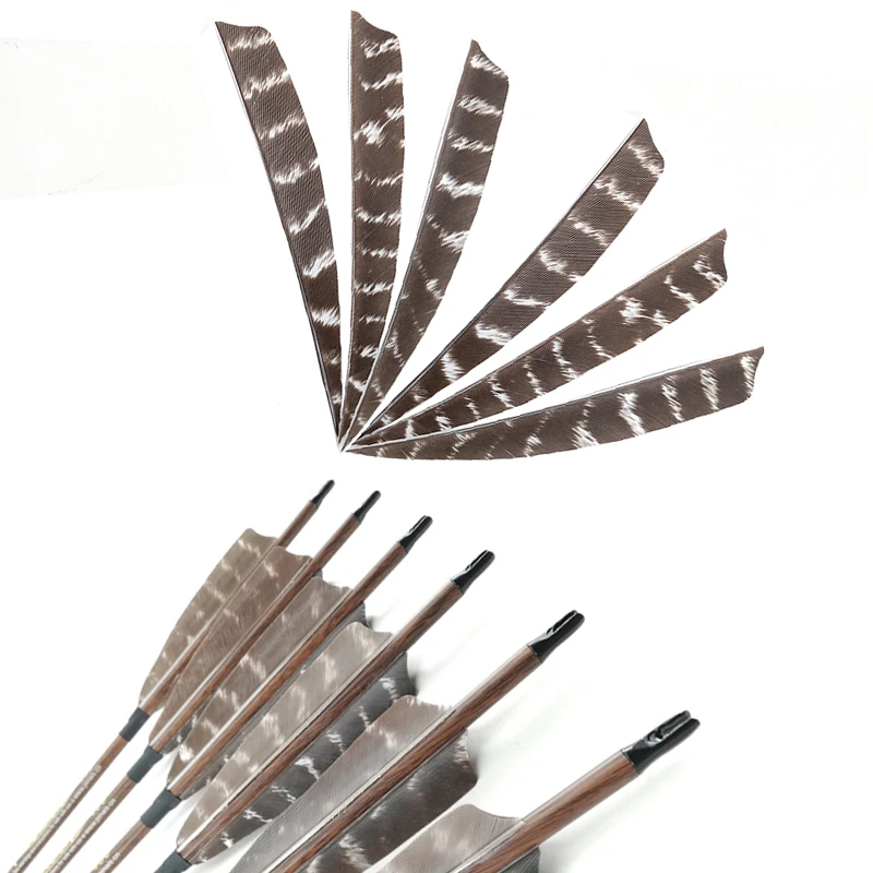 Choosing The Right Arrow Vanes For A Compound Bow