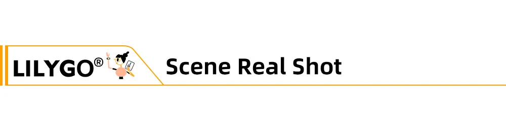 Online shopping