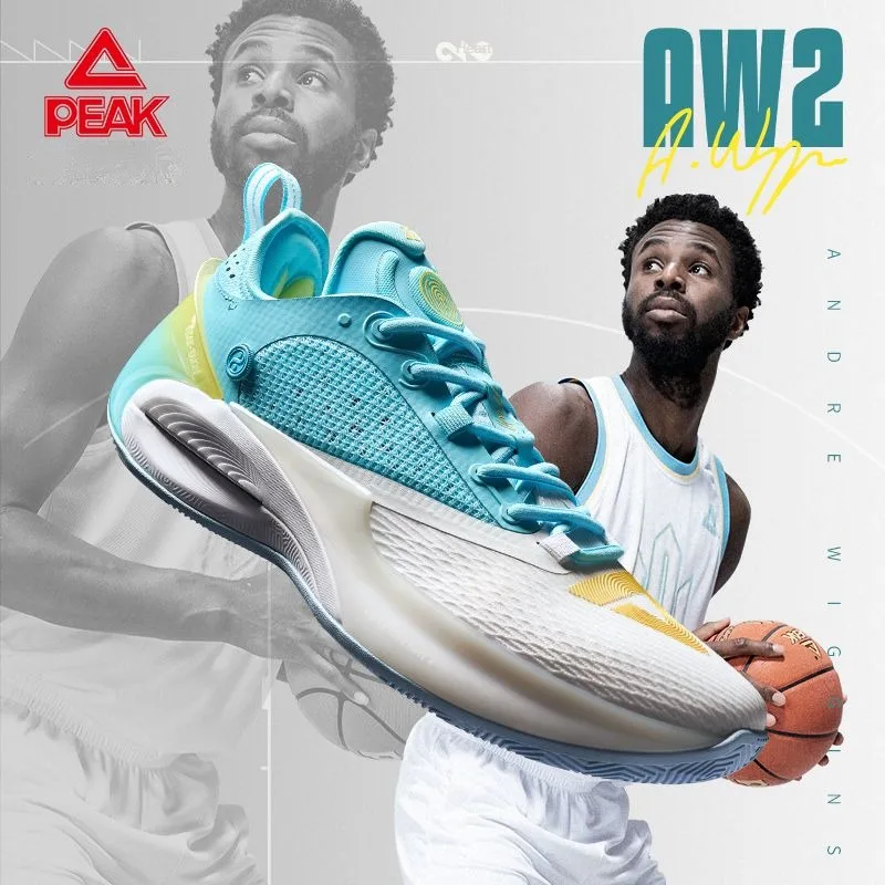 Peak taichi AW2 basketball shoes men 