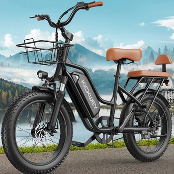 1500W Fat Tire E-Bike 1