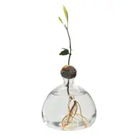 Avocado Seed Starter Vase Transparent Glass Propagation Hydroponic Flower Vase Container Gift Home Office Desktop Decors 1