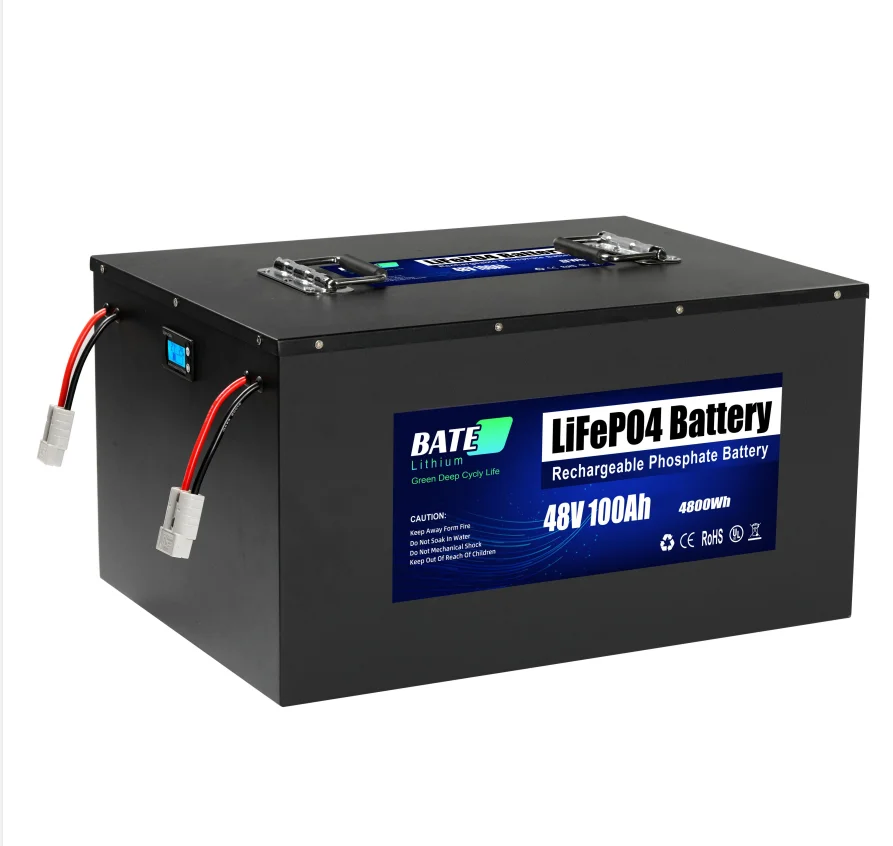 Warehouse in Stock 48V 100Ah LiFePO4 Lithium Battery with USB Metal