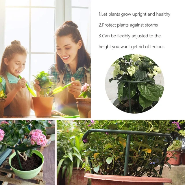 6/8/12 db Növényi Tartó Növény Tét Fél Kerek Gyűrű Műanyag Ketrec Virág Edény Mászó Rácsos - Image 2