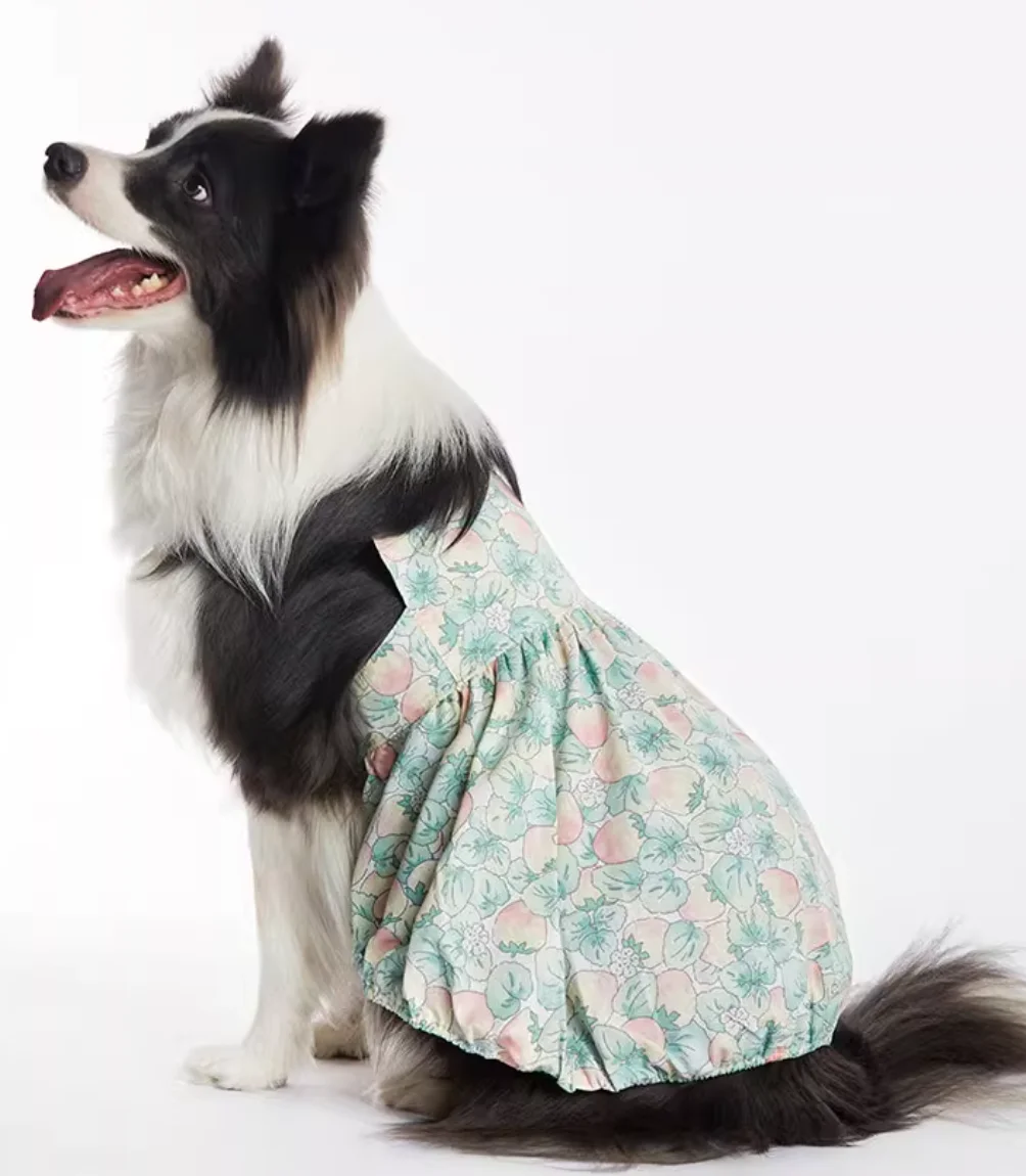 Cute Cat and Dog Clothes, Summer Flower Skirt, Chest Back, Big Dog, Bull Terrier, Grey Dog Clothes