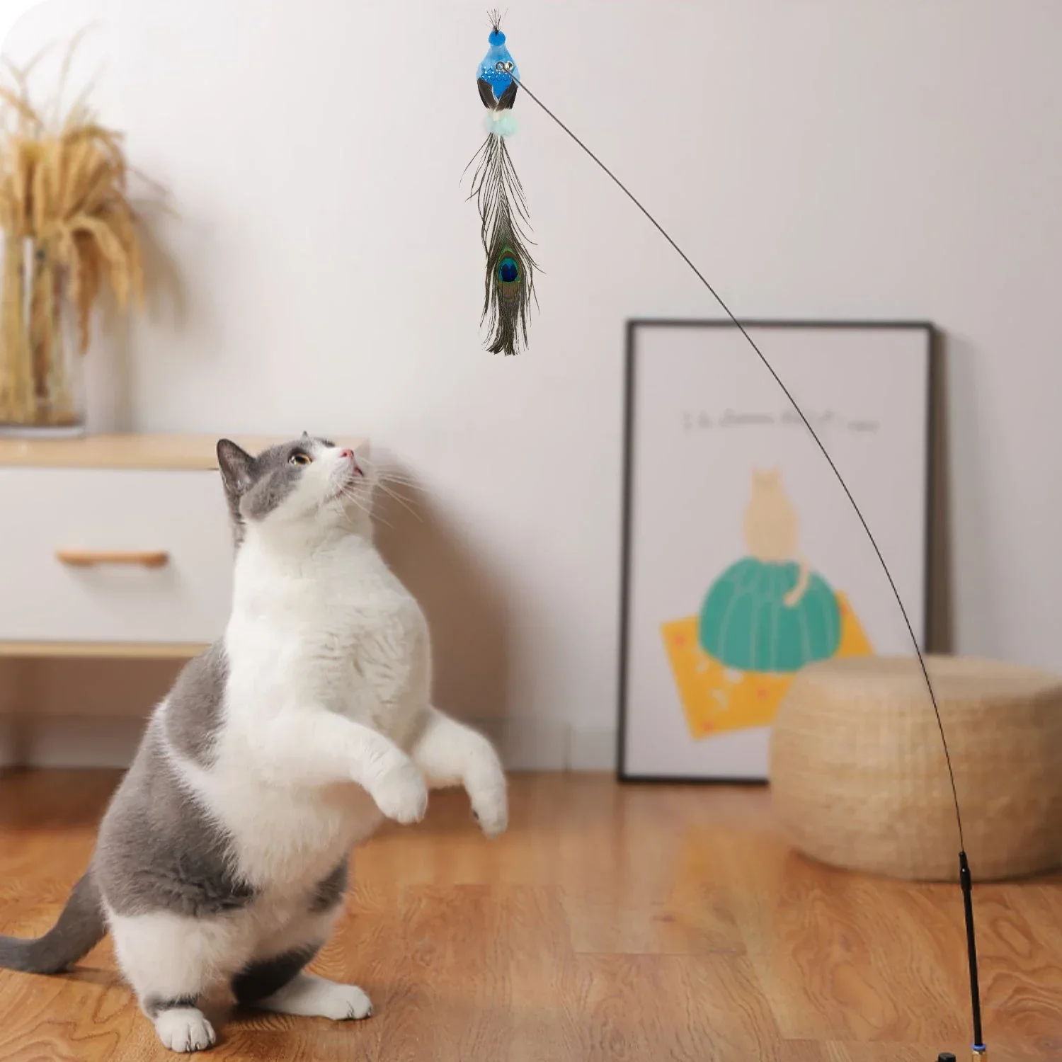 Cat Toy 2