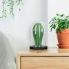 Dia15cm 18cm Glass dome With Black Wooden Base Bell Shape Flower Cover Stand display Wedding Decoration 4