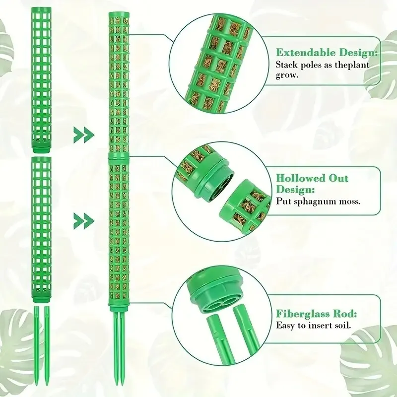 Dual Moss Plant Support Poles - Durable Indoor Plant Stakes
