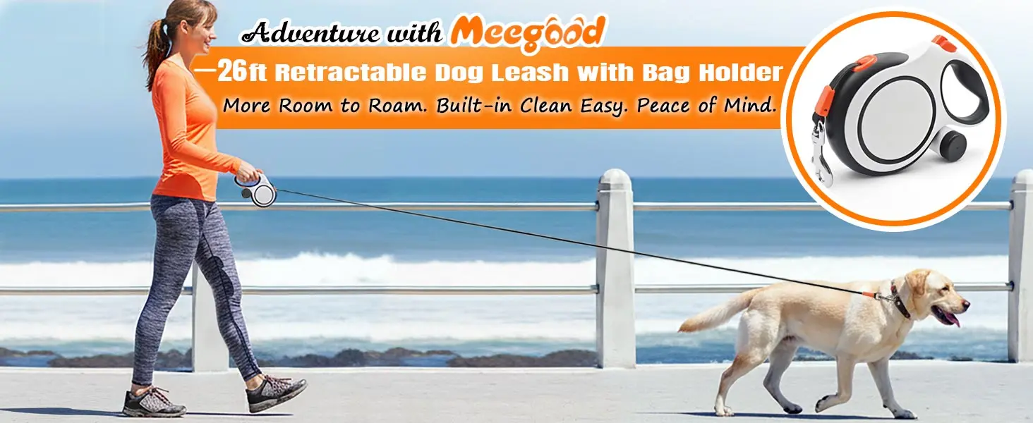 retractable dog leash