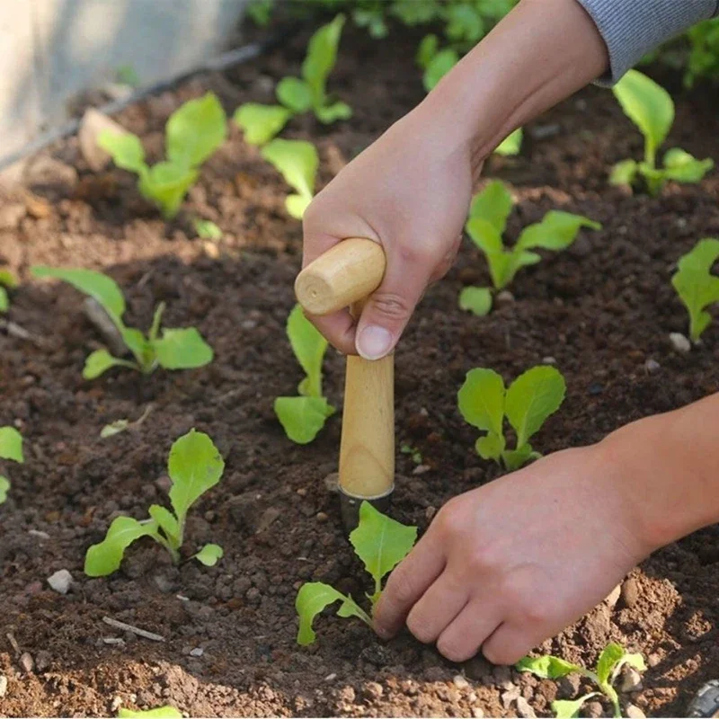 Hand Sow Dibbler With Wood Handle For Sowing Seeds Transplanting Plants Planting Bulbs Digging Gardening Garden Hole Punch Tool