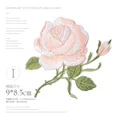 Light yellow rose