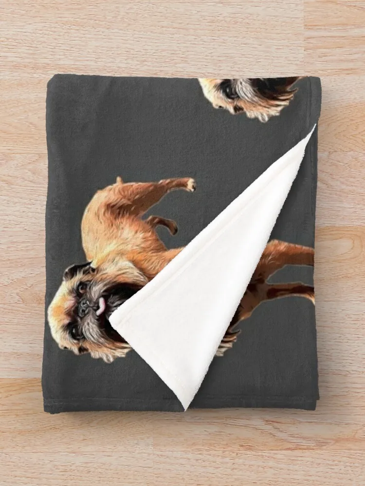 ��� �׸��� �Ϳ��� Briffon bruxellois ���ο� ���, ħ�� ���, �ε巯�� ū ���, ��� ���,  ���