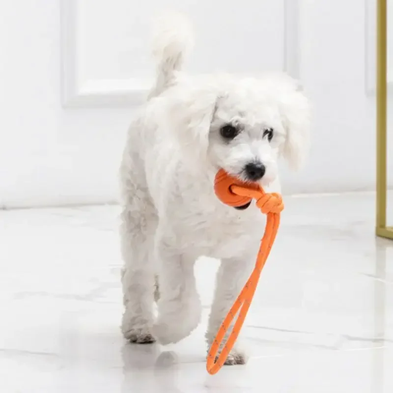 Durable Interactive Cotton Rope Dog Toy - Nontoxic Ball for Catching, Throwing, and Tugging