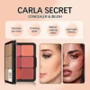 12-color iron box concealer blush cream matte highlight contour makeup all-in-one palette 5