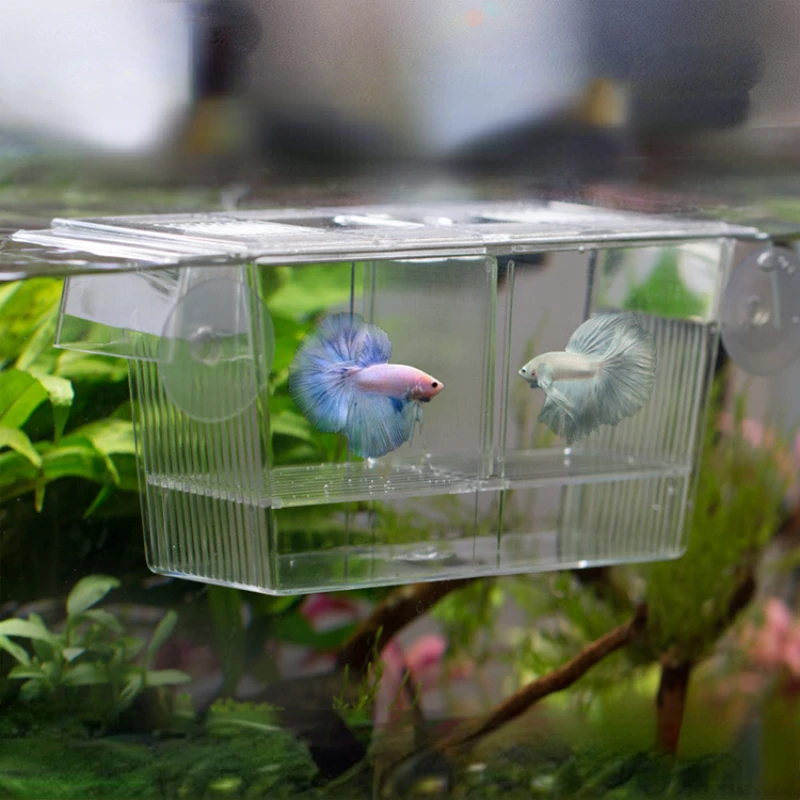 Aquarium Transparent Acrylic Fish Tank Breeding Isolation Box Hatchery Incubator Holder Fish Breeding Box fish breeding box