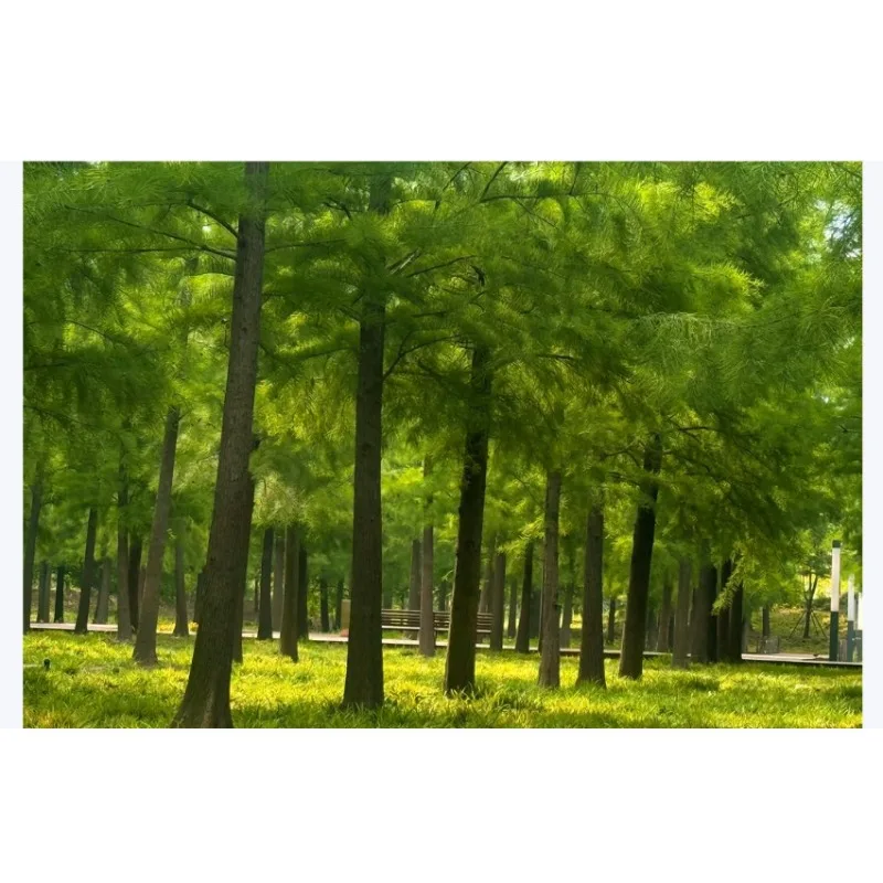 가슴 전화기 내비게이션 홀더 마운트 플레이트 1.5 for 2.0 조끼