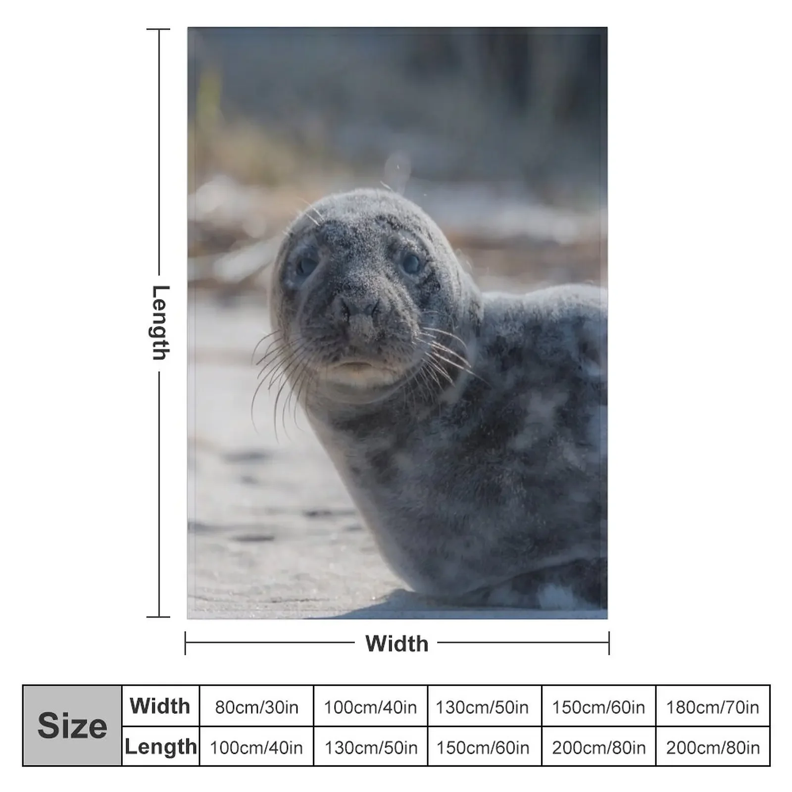 �غ����� ������  ����, ū ���� ���� �� �ٶ󺸰� �ִ� ���, ���Ÿ� �귣��, �ε巯�� ħ��, ����ִ� ���� ���