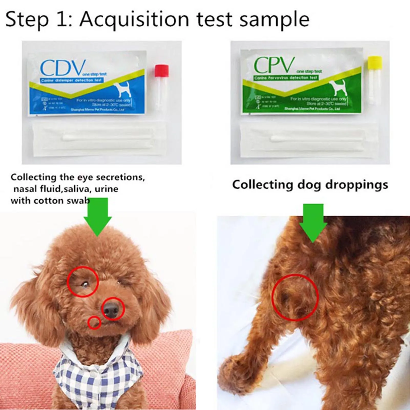 Canine Distemper Test Paper for Dogs and Cats