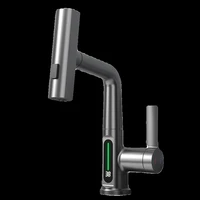 Faucet Vegetable Washing Basin Multifunctional LED Digital Display Tap Rotating Pull-out Cold and Hot Water Mixer 5
