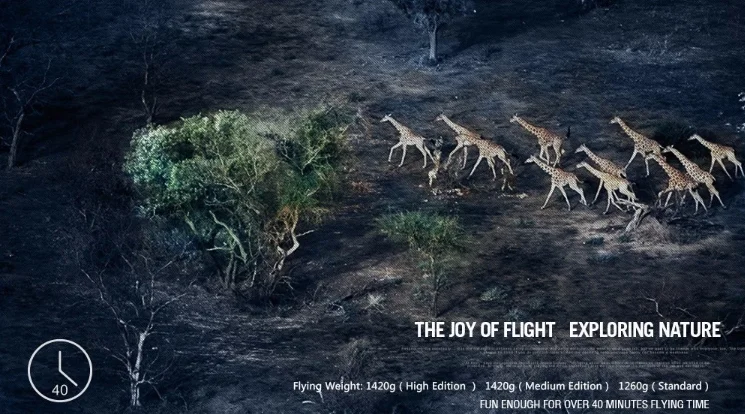 S740263d4fcfc42fbbf297a3371fc459bg