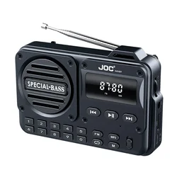Compact Bluetooth Speaker with FM Radio and MP3 Player Functionality (Black)