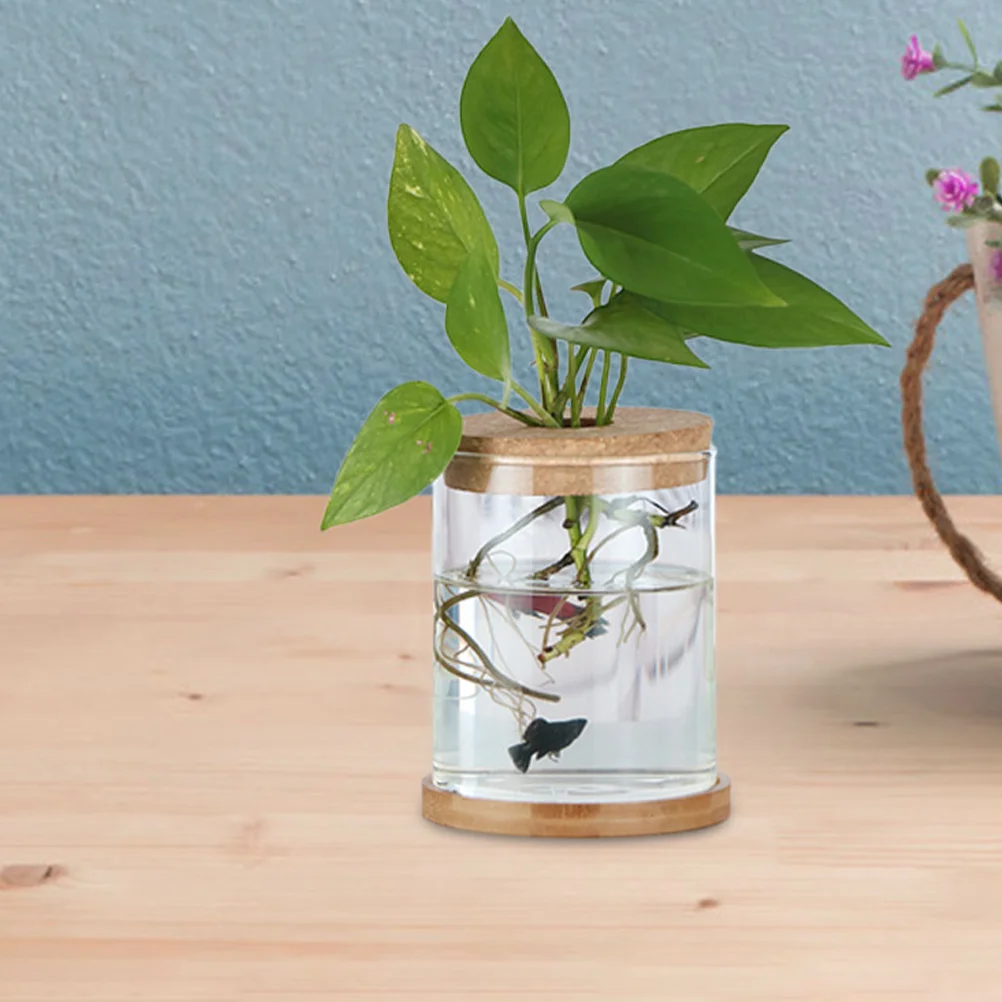 6 Pcs Indoor Hydroponic Vase Block Terrarium Cork Lid Wood for Bottles Glass Planter 2