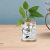 6 Pcs Indoor Hydroponic Vase Block Terrarium Cork Lid Wood for Bottles Glass Planter 2