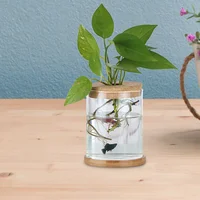 6 Pcs Indoor Hydroponic Vase Block Terrarium Cork Lid Wood for Bottles Glass Planter 2