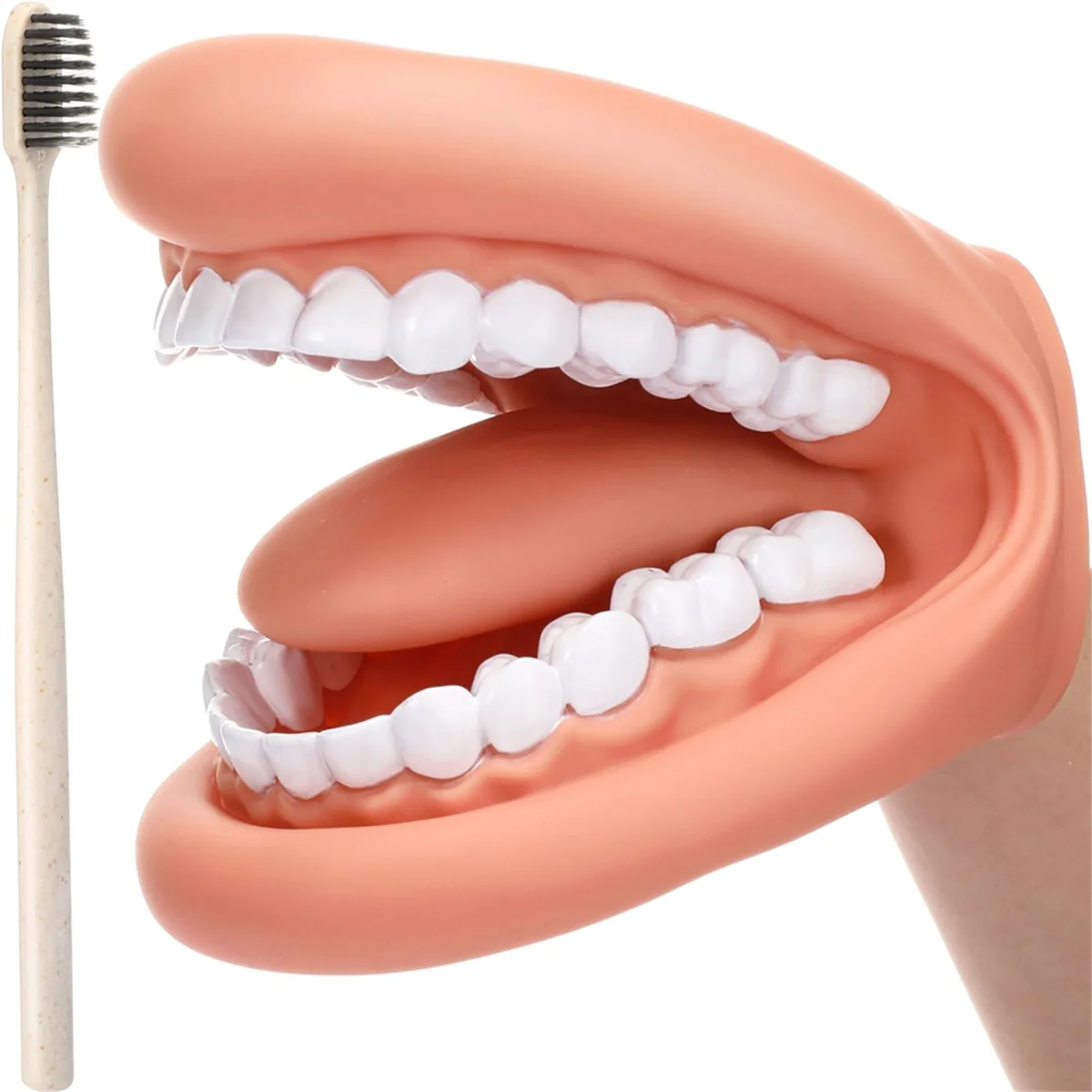 1Pcs Mouth Puppet with Tongue Teeth Mouth Hand Puppet Dental Model with Toothbrush for Boy Girl Educational Tool