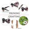 2-in-1 Garden Grafting Tools Pruner Kit 2CM / 3CM Grafting Film Grafting Scissors Plant Branch Vine Fruit Tree Cutting Tool Kits 4
