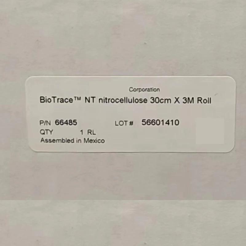 Nitrocellulose NC Membrane 0.22um P-N66485-30 &times; 300Cm/Roll 10600001 30cm x 4m 0.2um