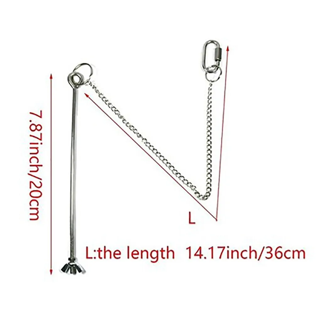 Stainless Steel Bird Food Holder 5