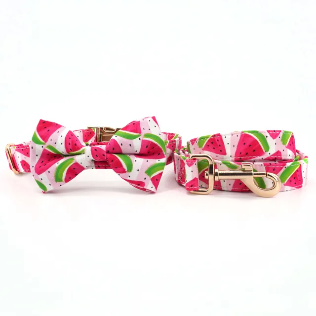 collar-bow-leash