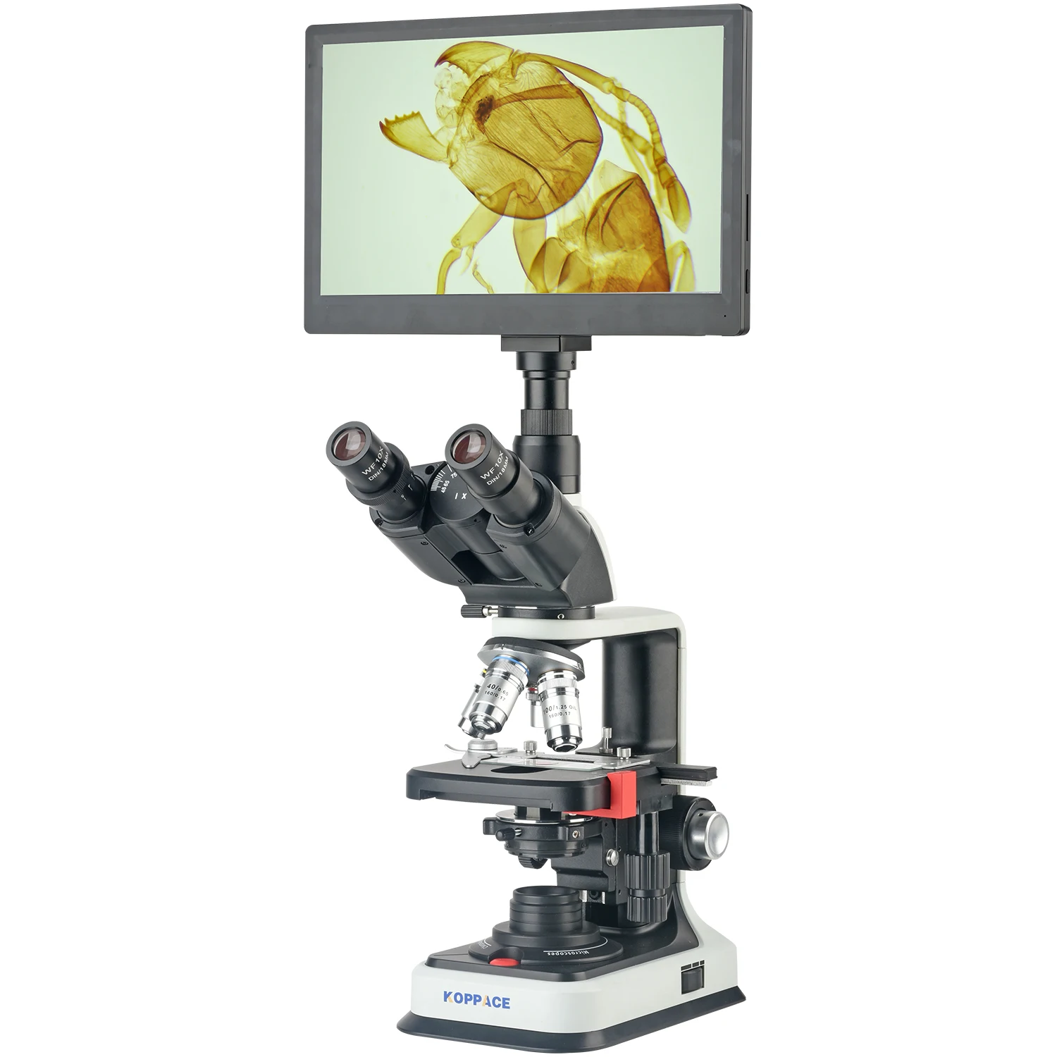 

KOPPACE 40X-2500X Electron Biological Microscope 2 Million Pixels 11.6 "HD Display