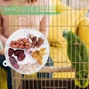 1pc Acrylic Interactive Parrot Toy Rotating Treat Dispenser for Pet Parrot Bird Cage Decoration Mental Stimulation Entertainment 4