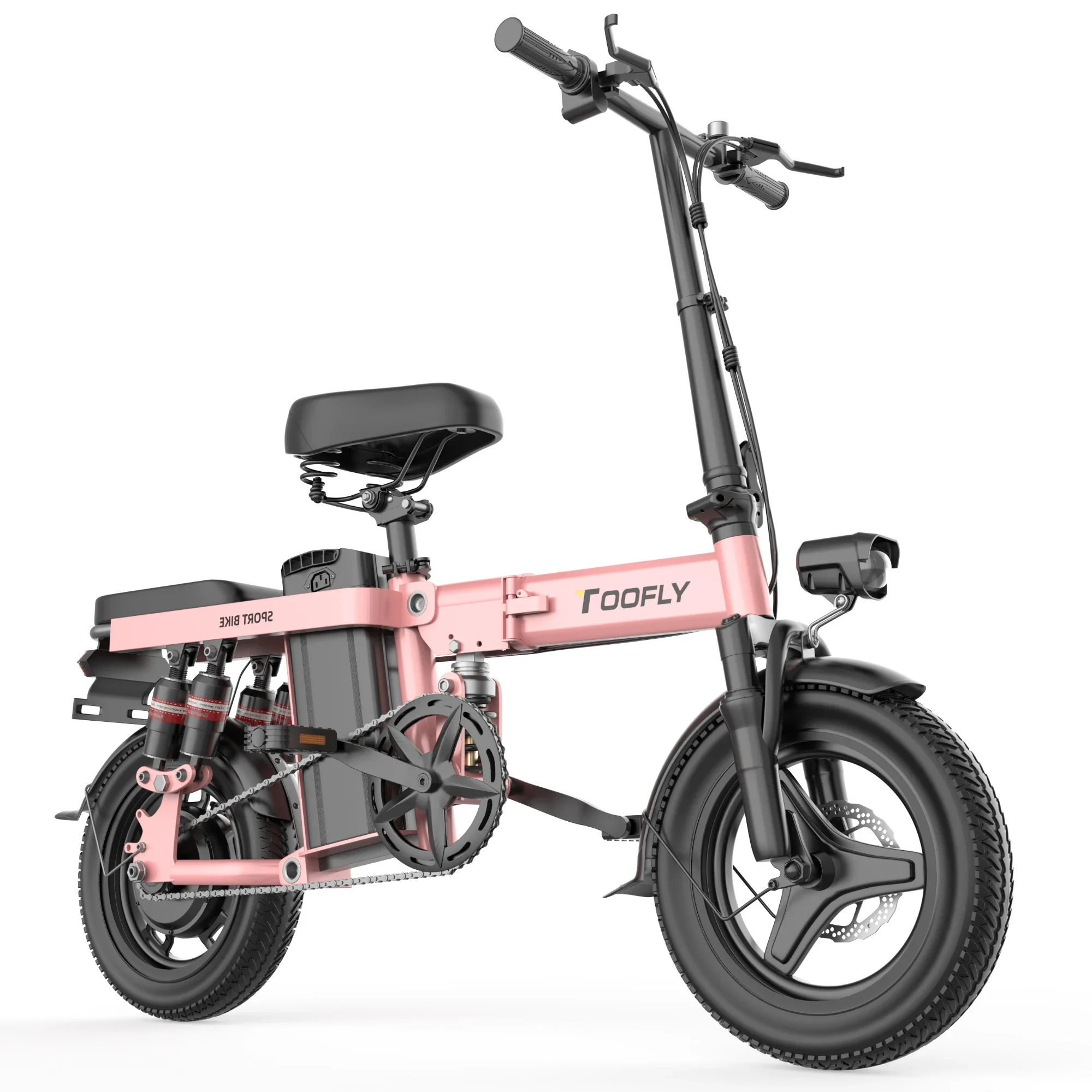 Lafly E-bike 電動自転車 1000W 48V 15ah
