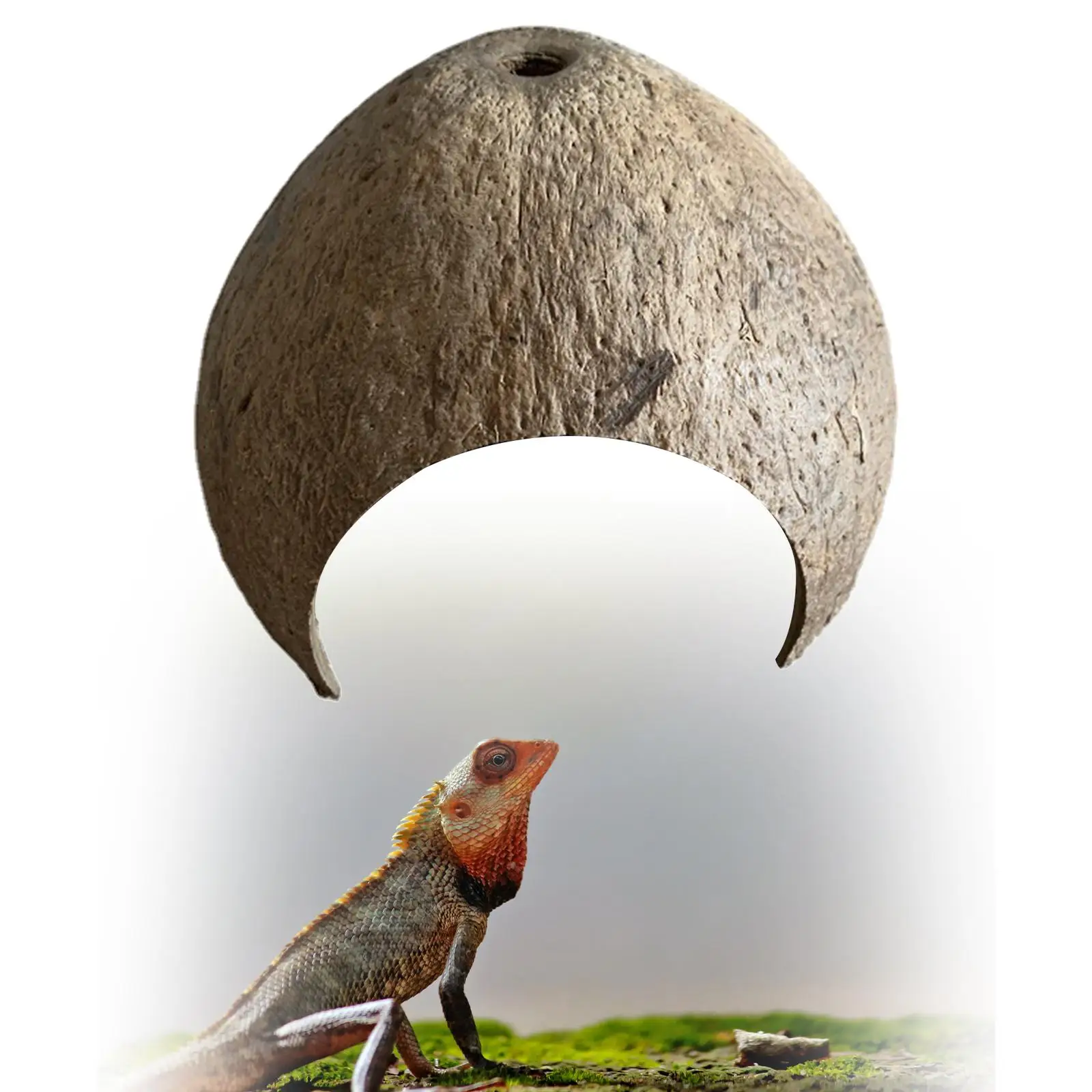 Coconut Shells Hut Shelter Growth Fish Tank Hermit Nest Aquarium Decor