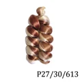 P27 30 613