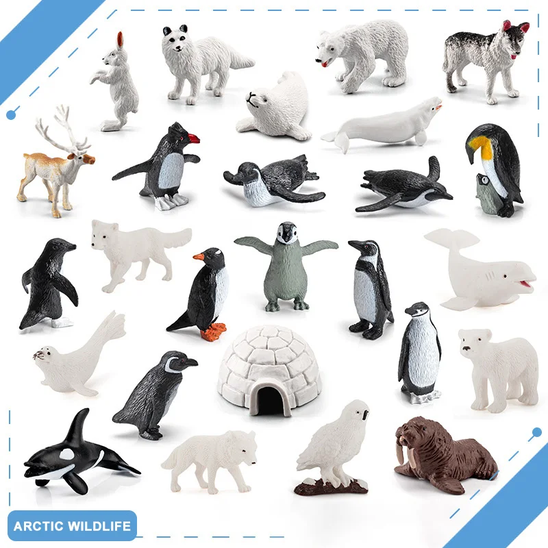 Simulazione Arctic Animals North Pole Pinguini Bear Dolphin Action Figures Miniacture Killer Blue Whale Beluga Giocattoli Educativi