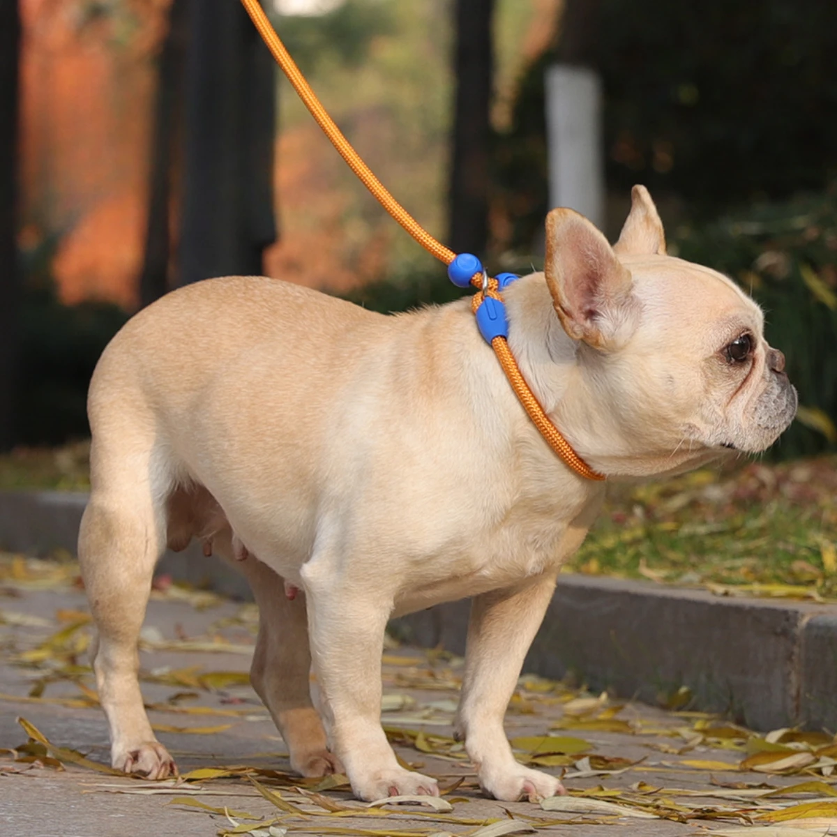 150cm Pet Dog Training Round Rope Light Weight Nylon P Chain Collar Adjustable for Small Medium Dogs Walking Leash Pet Supplies pet leash set dog traction rope