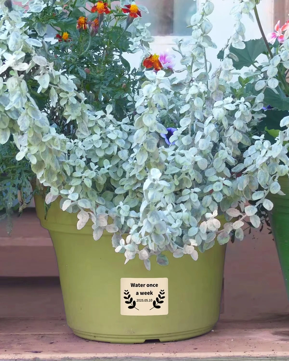 40x30mm & 50x50mm 블루/핑크/카키 라벨, 선명한 색상의 방수 스티커 용지, 소매 포장, 배송 태그용