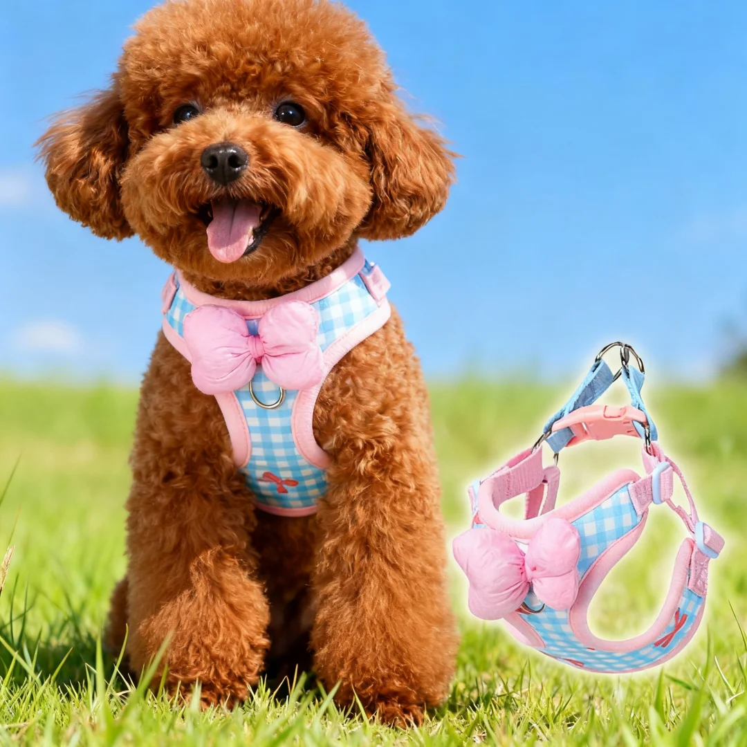 Breathable Mesh Dog Harness Adjustable Vest For Pets Small To Large_voghion.com