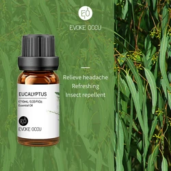 Pure Lavender Jasmine Rose Vanilla Mint Essential Oil Blend for Diffusers, Humidifiers, Massage, Candles, and Soap Making (Eucalyptus)