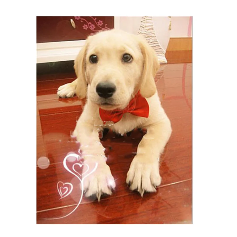 Pet Dog Cat Necklace Formal Necktie Adjustable Bow Tie Portable Collar For Cat Dog Accessories Suit For Small Medium Dog And Cat 4