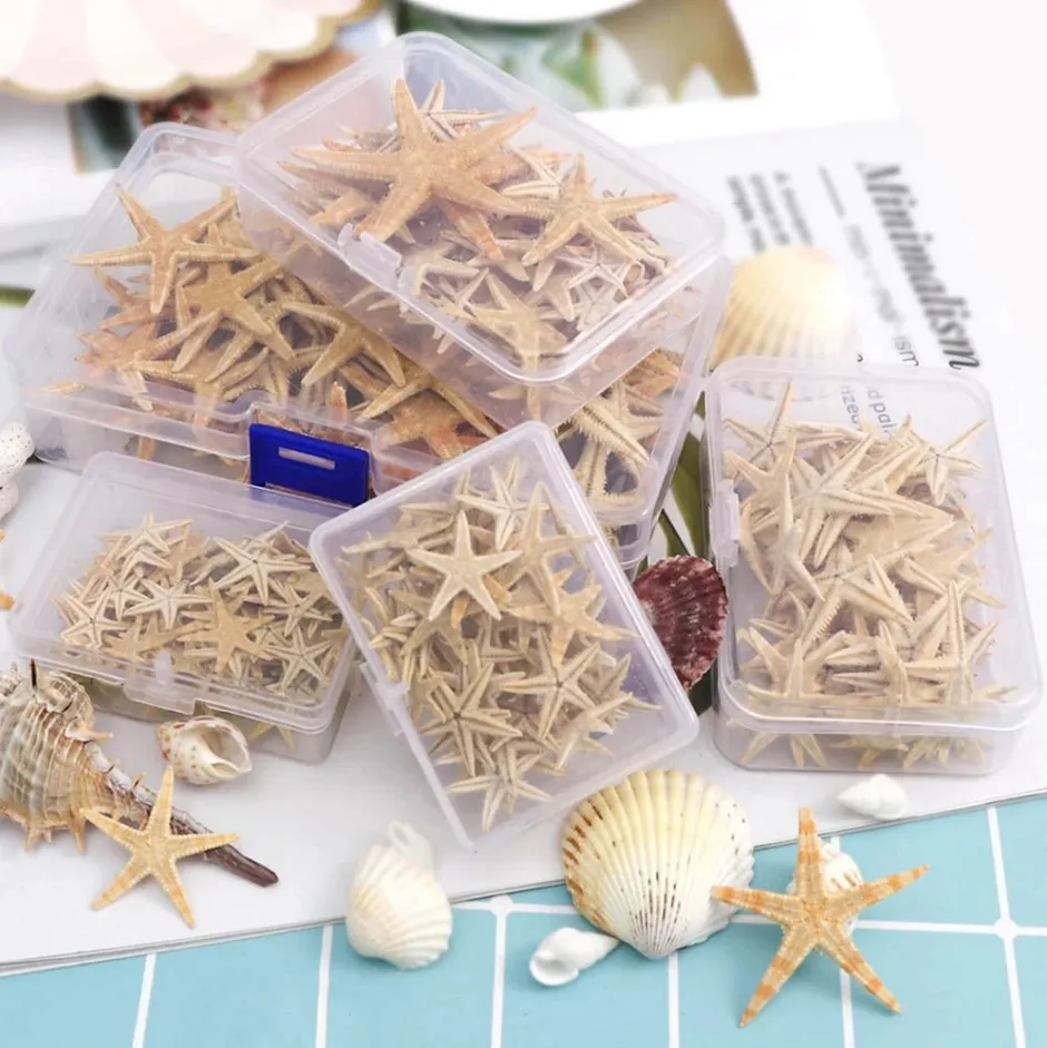20/50/100pcs Natural Starfish Ornaments for Beach Craft Decor Wedding Party DIY Home Decor