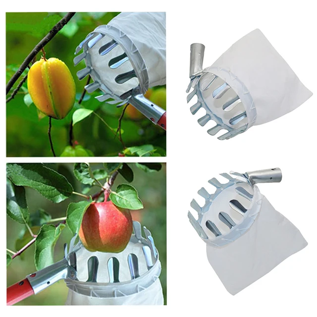 Fém Gyümölcsválasztó Kertészkedés Alma Őszibarack Magas Fa Szedő Gyümölcs Fogó Kertészeti Kellékek