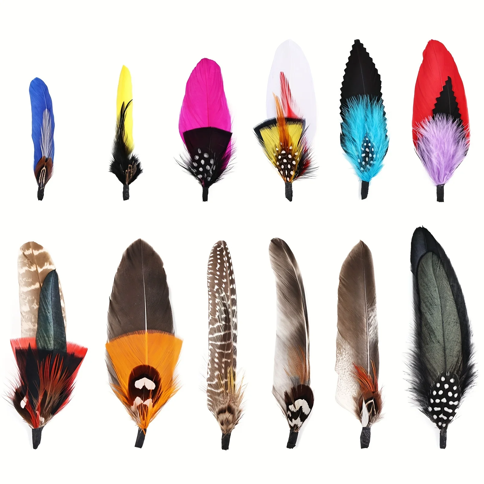 C 12Pcs
